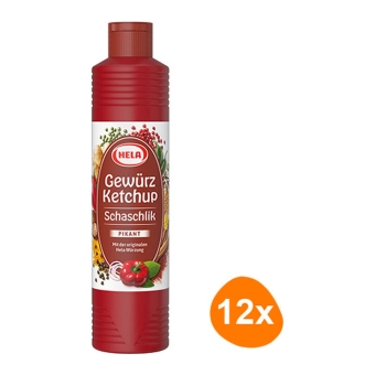 Shashlik Spice Ketchup 12x