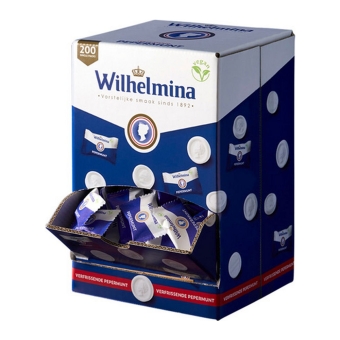 Fortuin Peppermint Vegan 200 Singlepacks