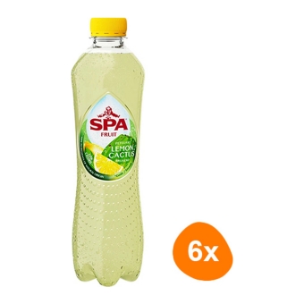 Fruit Sparkling Lemon Cactus 6x