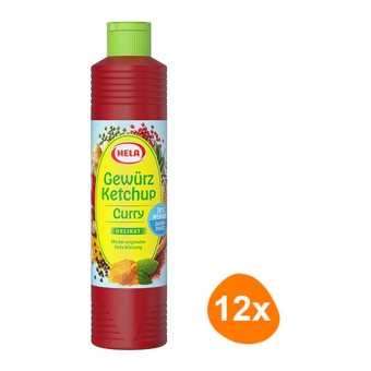 Curry Spice Ketchup Delikat light 12x