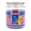 Haribo - Berry Mix Scented Candle - 510g