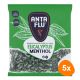 Anta Flu - Throat Eucalyptus / Menthol - 1kg